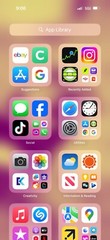 Apple iPhone 16 Pro Max Desert Grey 264 Gb brand new condition with TikTok￼