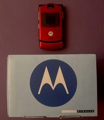 Mortola