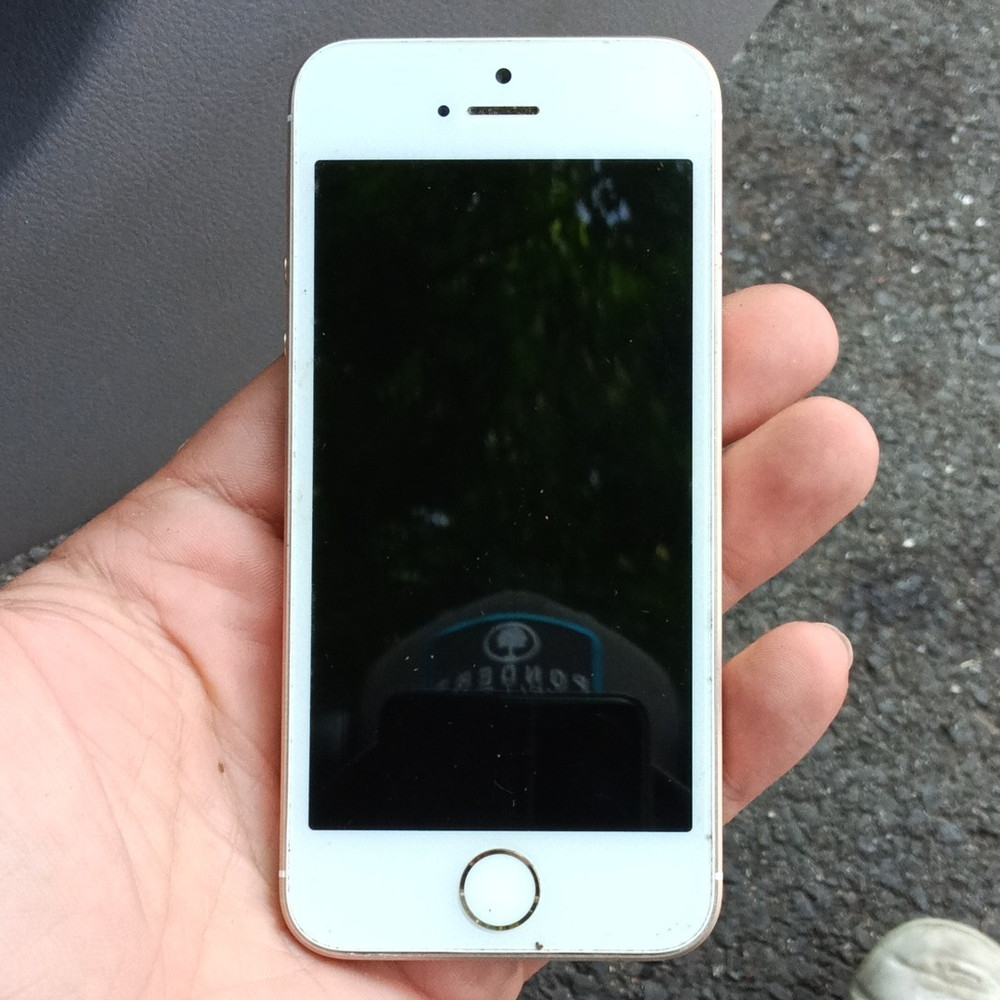 Apple iPhone SE A1662 64GB Gold/White 4.0in iOS GSM Smartphone For Parts