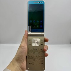 Samsung Galaxy Folder SM-G1600 Unlocked 4G 16GB 3.8 in LTE Dual SIM Flip Phone