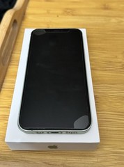 iphone 12 Seafoam Green