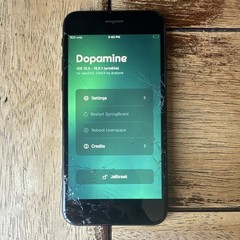 iPhone SE 2020 iOS 16.1.1 Jailbroken with dopamine & trollstore