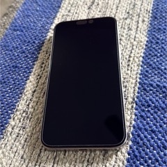 Apple iPhone 15 Pro Max 1TB A2849 Silver 6.7’ iOS For Parts ONLY. (PLEASE READ!)