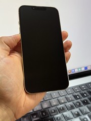 Apple iPhone 13 Pro 256GB Factory Unlocked Gold (Rear Cam Issue) #24550