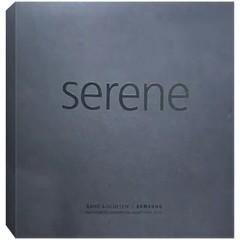 Samsung Bang Olufsen Serene 2G Black Single-SIM Factory Unlocked GSM NEW