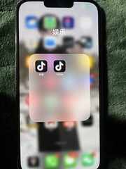 This is the Chinese version of Apple 13promax and TikTok from China