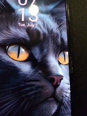 Samsung Galaxy Z Flip4 (Lavender)