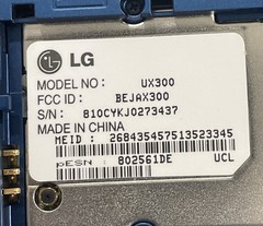 LG UX300