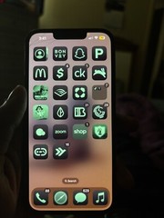 Apple iPhone 15 Pro – 256 GB – Beige (Unlocked) with TikTokand Other Movie Apps