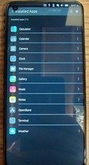 OnePlus Nord N10 5G-Degoogled-Unlocked-Ubuntu Touch/ or E/OS Mint !! Pls Read !!
