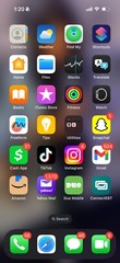 iphone 16 With TikTok App & Lemon8