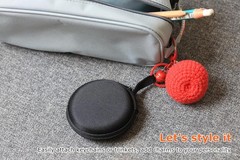 Mini-Portable Hard Shell Earbuds Case for Apple EarPods Headphones USB-C Wired