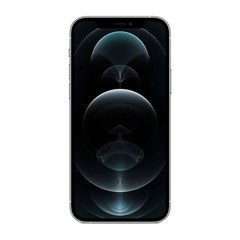 Apple iPhone 12 Pro, Fully Unlocked | 512 GB, Silver, 6.1 in| B- Grade | A2341