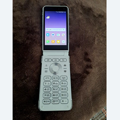 Samsung Galaxy Folder2 32G SM-G160N Unlocked LTE 2021.ver