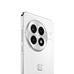 OnePlus 13 Smarter AI Phone-16GB RAM-512GB Storage Arctic Dawn-Global Version
