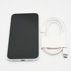 Apple iPhone 17e 256GB A3575 (Verizon Prepaid ONLY) White – Open Box