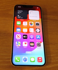 Apple Iphone 13 128GB (DISH ONLY) CHECK IMEI Fair Good used original 87%
