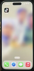 iPhone 16 With TikTok Installed