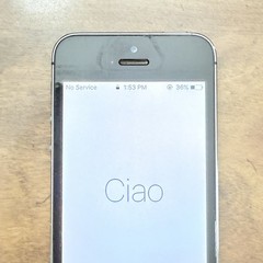 Apple iPhone 5s – 16GB – Space Gray A1533 Reset Nices Screen