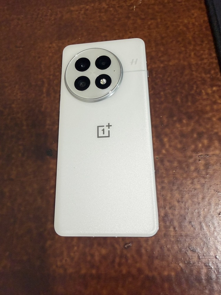 OnePlus 13 AI Phone 16GB RAM-512GB Storage Arctic Dawn