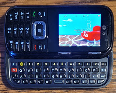 LG Banter LG265 / Rumor 2 – Gray Floral ( Bell ) Very Rare CDMA Slider Phone