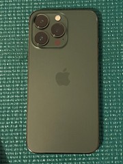 Apple iPhone 13 Pro – 256GB – Alpine Green (Unlocked) A2484 (CDMA + GSM)