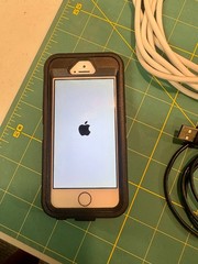 Apple iPhone SE 1st Gen 64GB Rose Gold Unlocked