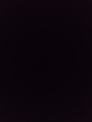 Apple iPhone 12 mini – 64 GB – Black (TracFone) (Dual SIM)