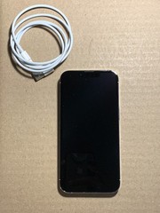 Apple iPhone 13 Pro 128GB Silver Unlocked A2483